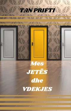 Tan Prifti Mes Jetës dhe Vdekjes обложка книги