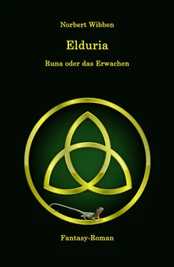 Norbert Wibben Elduria - Runa oder das Erwachen обложка книги