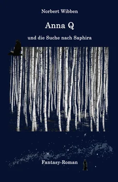 Norbert Wibben Anna Q und die Suche nach Saphira обложка книги