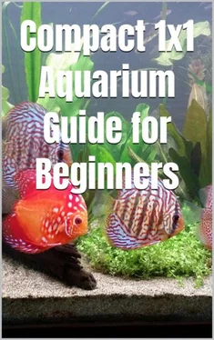Thorsten Hawk Compact 1x1 Aquarium Guide for Beginners обложка книги