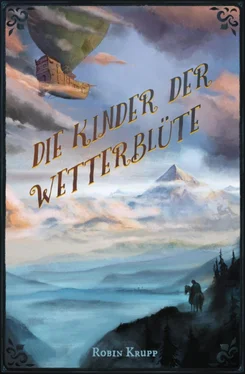 Robin Krupp Die Kinder der Wetterblüte обложка книги