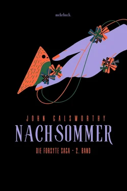 John Galsworthy Nachsommer обложка книги