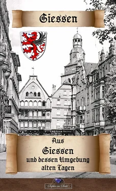 Erik Schreiber Aus Giessen und dessen Umgebung alten Tagen обложка книги