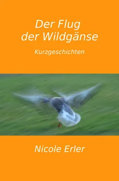 Nicole Erler Der Flug der Wildgänse обложка книги