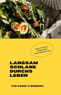 André Sternberg Langsam schlank durchs Leben обложка книги