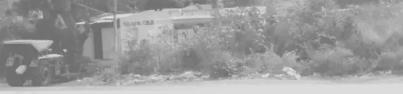 Fig 1 A typical street scene in India authors picture How does the plastic - фото 2