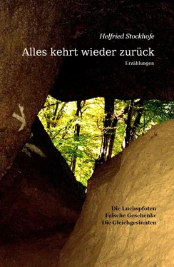 Helfried Stockhofe Alles kehrt wieder zurück обложка книги