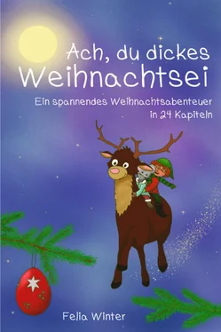 Felia Winter Ach, du dickes Weihnachtsei обложка книги