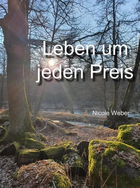 Nicole Weber Leben um jeden Preis обложка книги