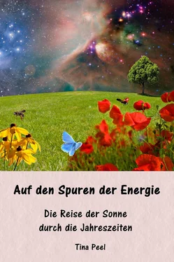 Tina Peel Auf den Spuren der Energie обложка книги