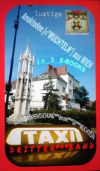 RAYMONDi - lustige_TAXI-ANEKTODEN_zum_LACHEN_aus_WIEN