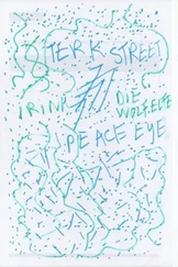 Kolja Kappel - Terk Street Adventure / Irina / The peace Eye