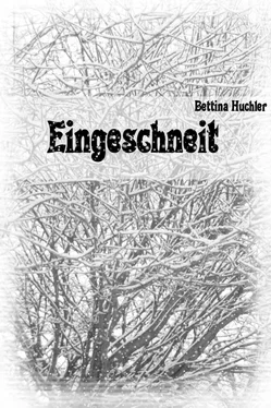 Bettina Huchler Eingeschneit обложка книги