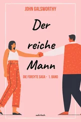 John Galsworthy - Der reiche Mann