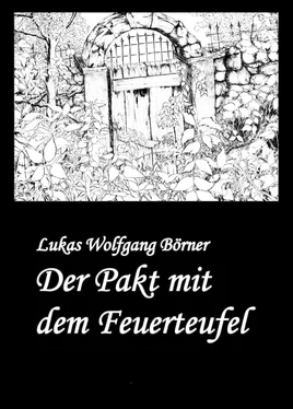 Lukas Wolfgang Börner Der Pakt mit dem Feuerteufel обложка книги