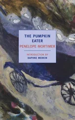 Mortimer Penelope - The Pumpkin Eater