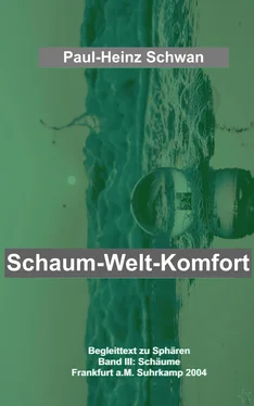 Paul-Heinz Schwan Schaum-Welt-Komfort обложка книги