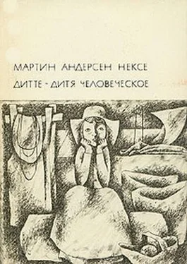 Мартин Нексе Дитте - дитя человеческое обложка книги