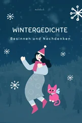 Friedrich Holderlin - Wintergedichte