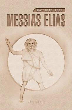 Matthias Grau Messias Elias обложка книги
