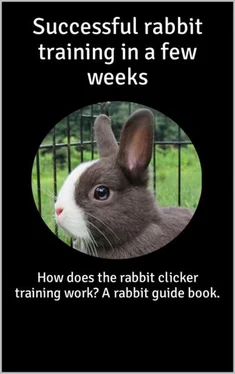 Thorsten Hawk Successful rabbit training in a few weeks обложка книги