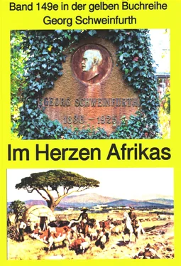 Georg Schweinfurth Georg Schweinfurth: Forschungsreisen 1869-71 in das Herz Afrikas обложка книги