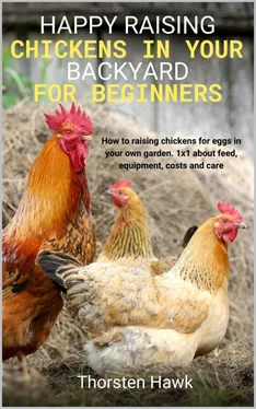 Thorsten Hawk Happy raising chickens in your backyard for beginners обложка книги
