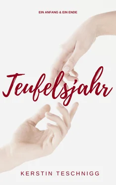 Kerstin Teschnigg Teufelsjahr обложка книги