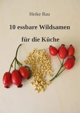 Heike Rau 10 essbare Wildsamen für die Küche обложка книги