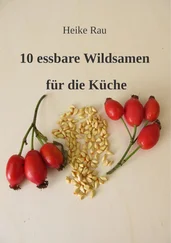 Heike Rau - 10 essbare Wildsamen für die Küche