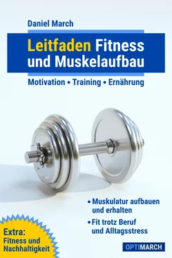 Daniel March Leitfaden Fitness und Muskelaufbau обложка книги