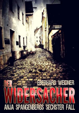 Eberhard Weidner DER WIDERSACHER обложка книги