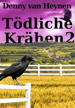 Denny van Heynen Tödliche Krähen 2 обложка книги