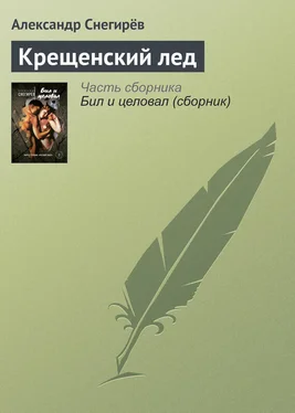 Александр Снегирёв Крещенский лед обложка книги