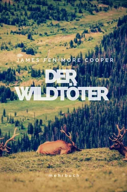 James Cooper Der Wildtöter обложка книги