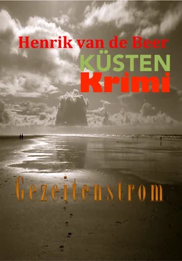 Karl-Heinz Biermann Gezeitenstrom обложка книги