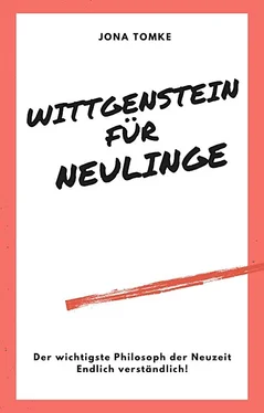 Jona Tomke Wittgenstein für Neulinge обложка книги