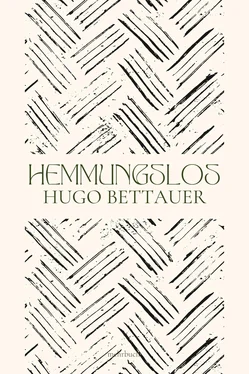 Hugo Bettauer Hemmungslos обложка книги