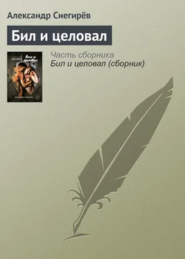 Александр Снегирёв Бил и целовал обложка книги