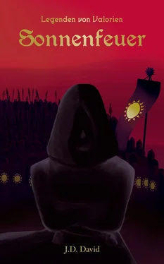 J.D. David Sonnenfeuer обложка книги