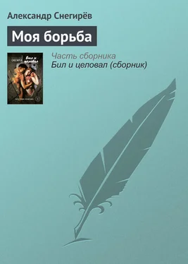 Александр Снегирёв Моя борьба обложка книги