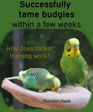 Thorsten Hawk Successfully tame budgies within a few weeks обложка книги