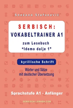 Snezana Stefanovic Serbisch: Vokabeltrainer A1 zum Buch Idemo dalje 1 - kyrillische Schrift обложка книги