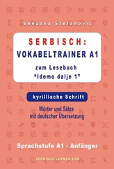 Snezana Stefanovic - Serbisch - Vokabeltrainer A1 zum Buch Idemo dalje 1 - kyrillische Schrift