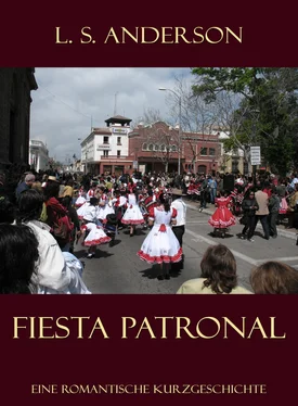 LSAnderson Fiesta Patronal. обложка книги