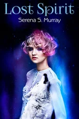 Serena S. Murray - Lost Spirit