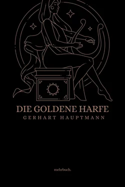 Gerhart Hauptmann Die goldene Harfe обложка книги