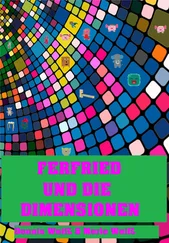 Dennis Weis - Ferfried und die Dimensionen