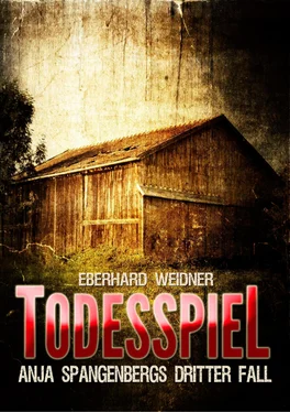 Eberhard Weidner TODESSPIEL обложка книги