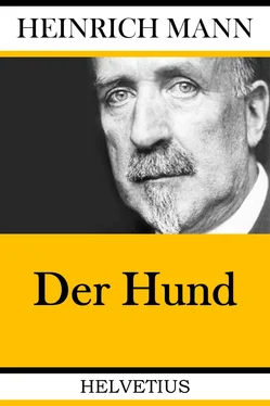 Heinrich Mann Der Hund обложка книги